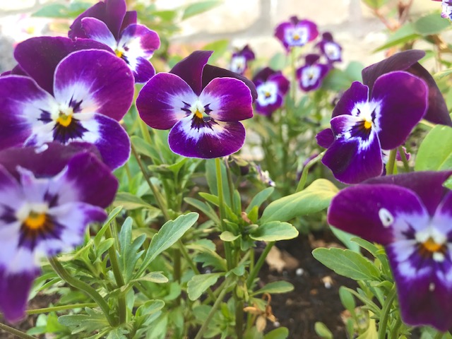 “Made sewers of us&nbsp;all.”