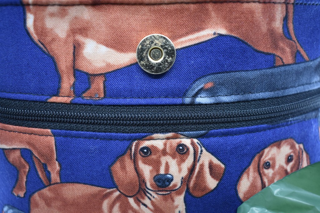 Dashing Dachshund