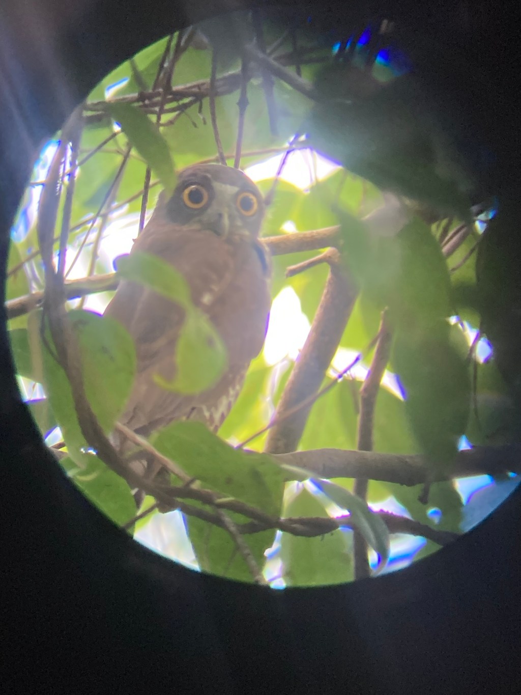 Kerala India Part&nbsp;1